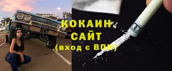 прущая мука Вяземский