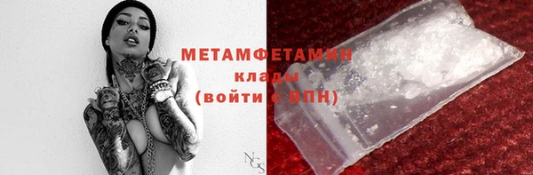 прущая мука Вяземский