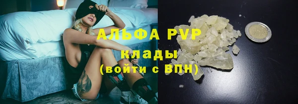 прущая мука Вяземский