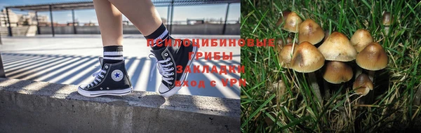 прущая мука Вяземский