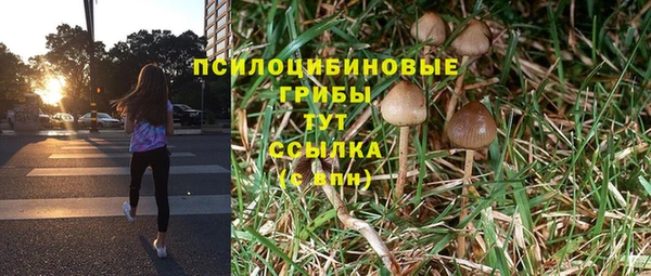 прущая мука Вяземский